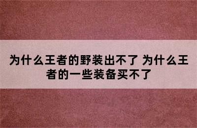 为什么王者的野装出不了 为什么王者的一些装备买不了